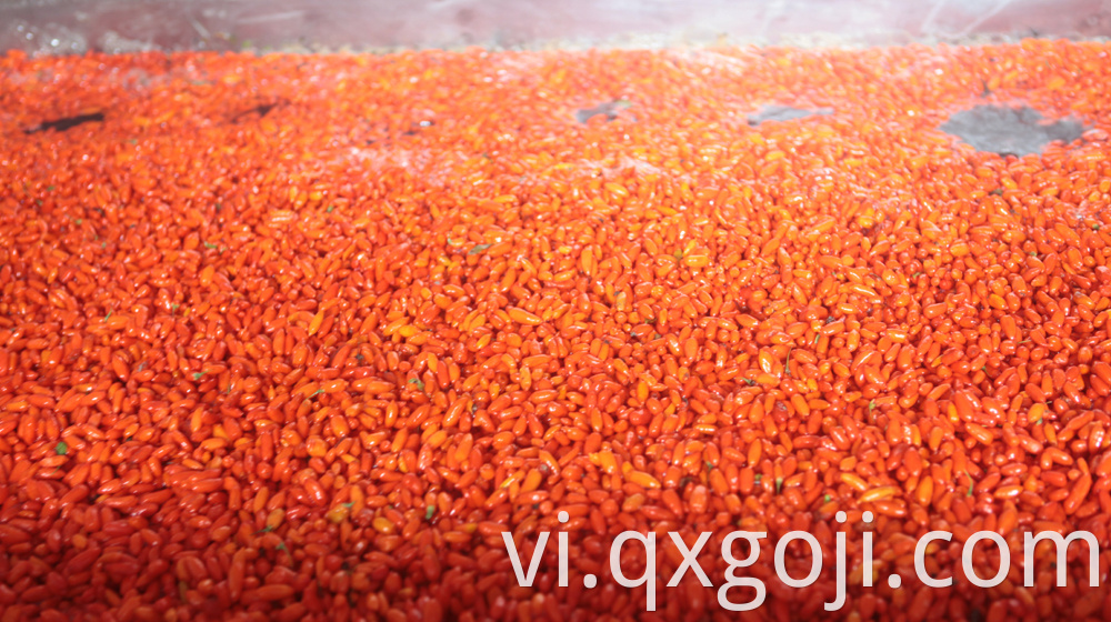 Red Organic Goji Berry